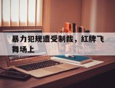 爱游戏ayx官方登录入口-暴力犯规遭受制裁，红牌飞舞场上