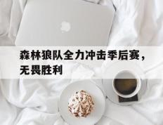 爱游戏ayx官方网页-森林狼队全力冲击季后赛，无畏胜利