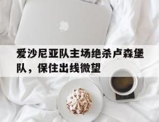 爱游戏ayx官方登录入口-爱沙尼亚队主场绝杀卢森堡队，保住出线微望
