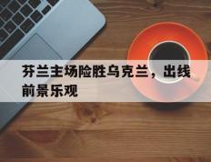 爱游戏ayx官方登录入口-芬兰主场险胜乌克兰，出线前景乐观