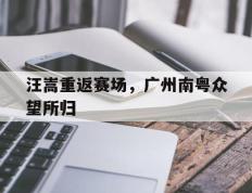 爱游戏ayx官方登录入口-汪嵩重返赛场，广州南粤众望所归
