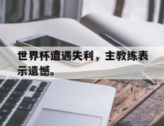爱游戏ayx官方网页-世界杯遭遇失利，主教练表示遗憾。