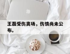 爱游戏ayx官方网页-王磊受伤离场，伤情尚未公布。