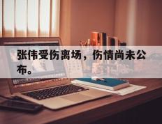 爱游戏ayx官方登录入口-张伟受伤离场，伤情尚未公布。