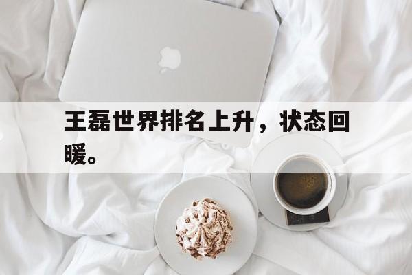 爱游戏ayx官方网页-王磊世界排名上升，状态回暖。后缀