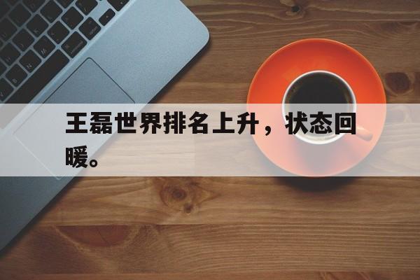 爱游戏ayx官方登录入口-王磊世界排名上升，状态回暖。后缀