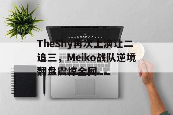 爱游戏ayx官方网页-TheShy再次上演让二追三，Meiko战队逆境翻盘震惊全网