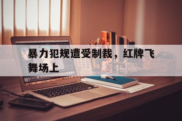 爱游戏ayx官方登录入口-暴力犯规遭受制裁，红牌飞舞场上