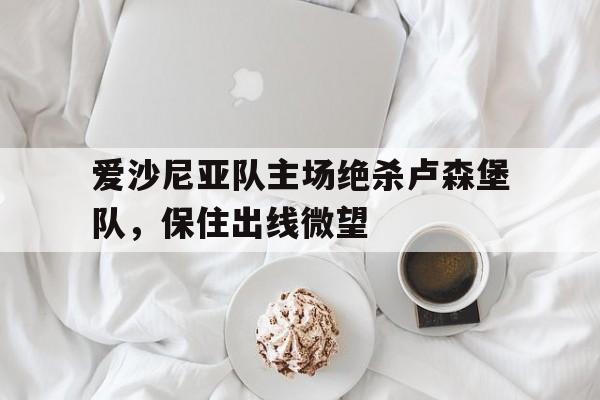 爱游戏ayx官方登录入口-爱沙尼亚队主场绝杀卢森堡队，保住出线微望